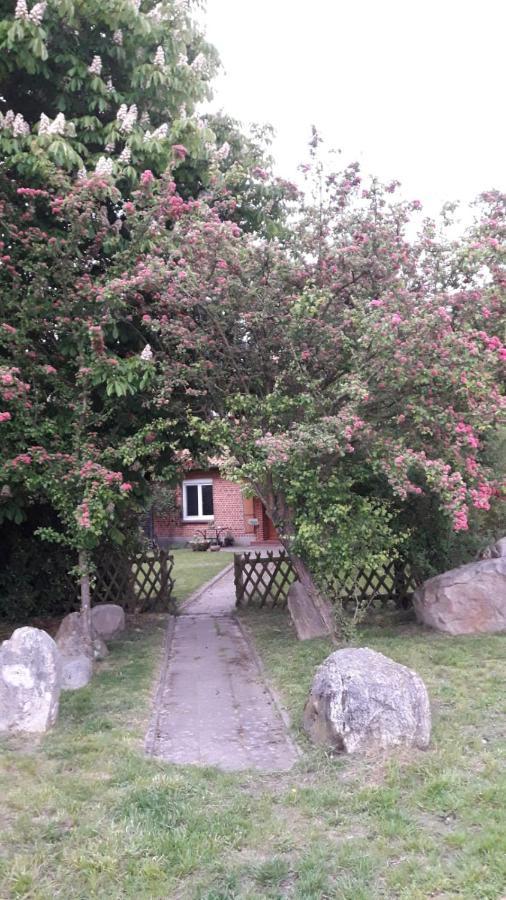 Ferienhof Steinbruch Wietzendorf Exterior foto