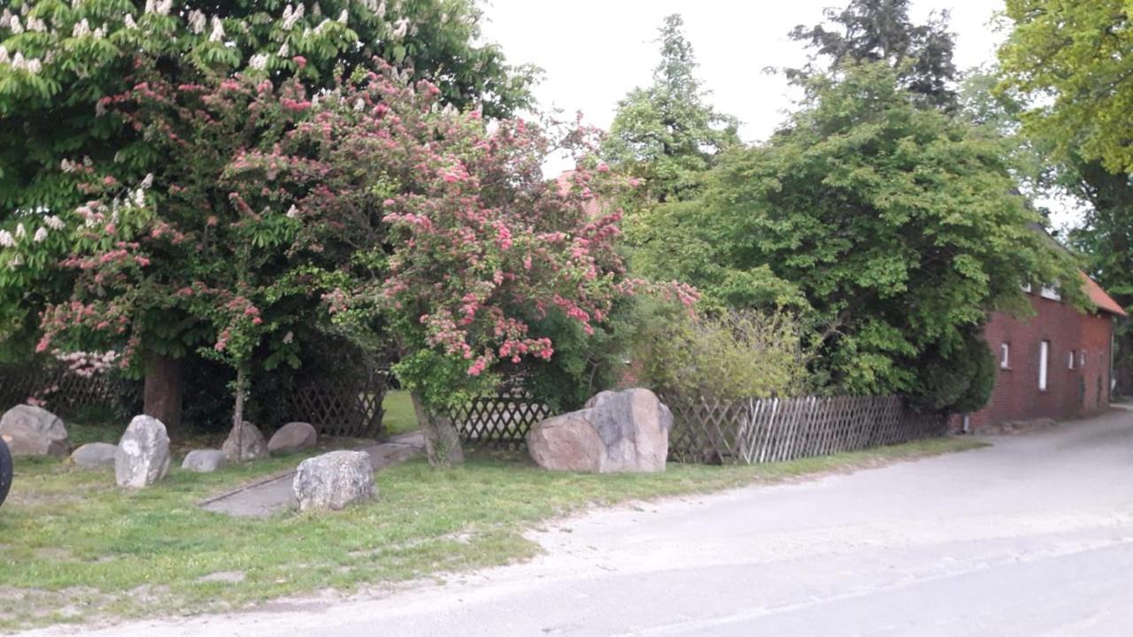 Ferienhof Steinbruch Wietzendorf Exterior foto